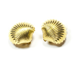 lovely shell